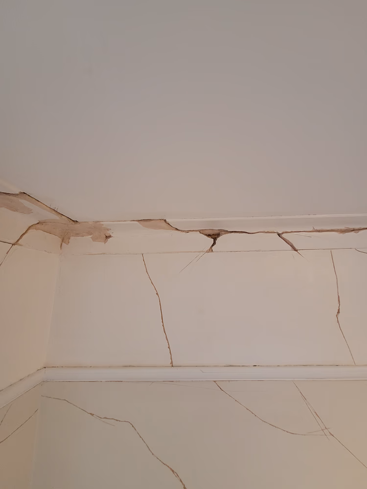 Full Redecoration of Lounge in Surbiton, photo 26 of 35
